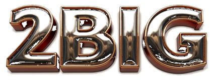 2big logo